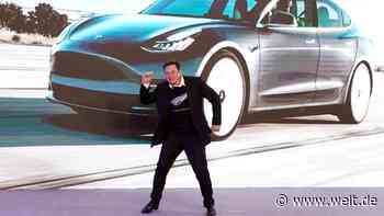 Der Boom der Tesla-Aktie hat zwei verhängnisvolle Vorbilder
