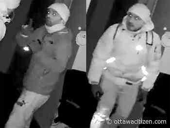 Gatineau police seek suspects in east end break-in