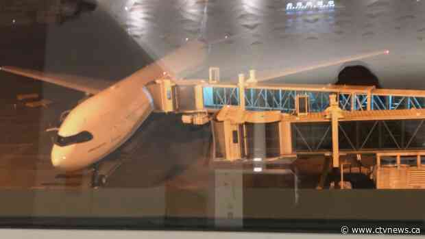 Evacuation flight arrives in Wuhan to transport Canadians home