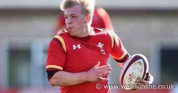 Ospreys and Wales winger Ben Cambriani punched man in face in nightclub attack