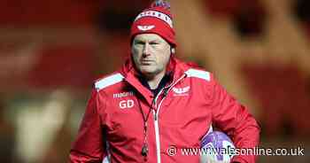 Scarlets name Brad Mooar's successor as head coach amid global interest in the role