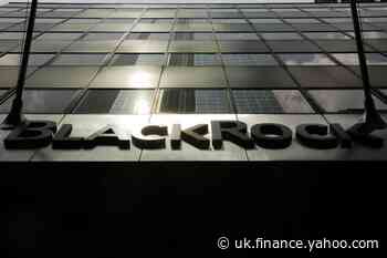 BlackRock says shareholder proposals can be valuable, cites cost