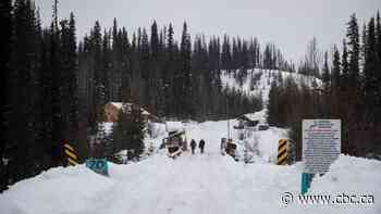 Several arrested at Wet'suwet'en anti-pipeline camp as RCMP move in to enforce injunction