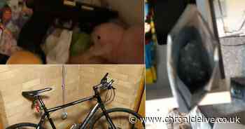 Two people arrested after police seize cocaine and a gun during Kenton raid