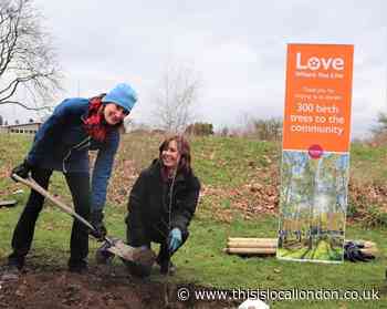 Squire's Garden Centres donate Silver Birch Trees to Richmond