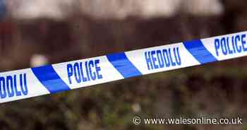 Man killed when 'unstable and dangerous' car lift collapsed on him as he worked on partner's Audi