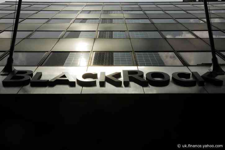 BlackRock takes middle ground on shareholder resolution reforms