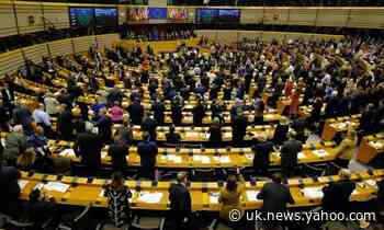 Key MEP group to demand level playing field with UK in return for free trade