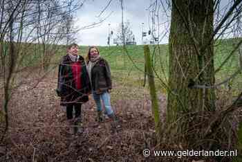 Buurt baalt: duizend bomen plat voor A15-verbreding