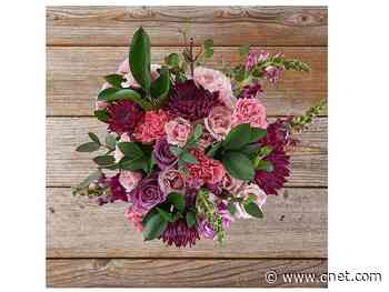 Best flower delivery services for Valentine's Day 2020     - CNET