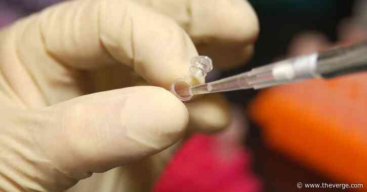 Layoffs at genetic testing companies reflect the changing market