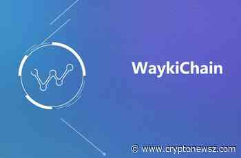 WaykiChain(WICC) Stablecoin: The New Payment Revolution - CryptoNewsZ