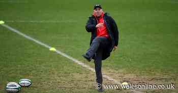 Wayne Pivac insists there is no need for 'hate' rhetoric in rugby following England-Scotland build-up