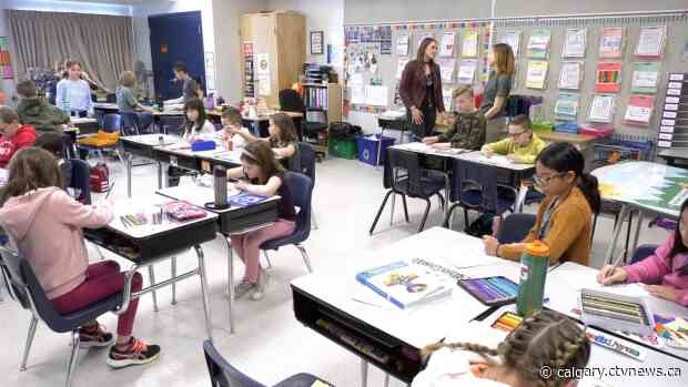 Chestermere students win environmental Action Challenge Award