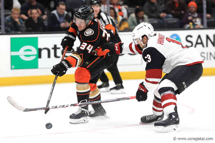 Ducks’ Sam Steel driving force behind young second line