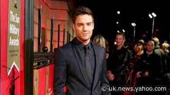 Liam Payne says thinking about Bear ‘brings home’ sacrifices of military