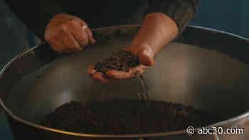 America's Freshest Coffee Comes from Right Outside Yosemite National Park