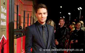 Liam Payne says thinking about Bear ‘brings home’ sacrifices of military