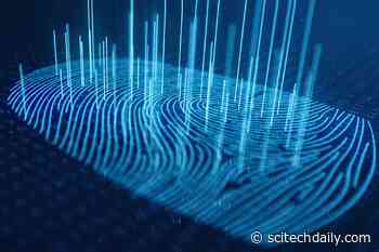 Fingerprint Test Can Identify Traces of Cocaine & Tell if It Was Consumed or Simply Handled