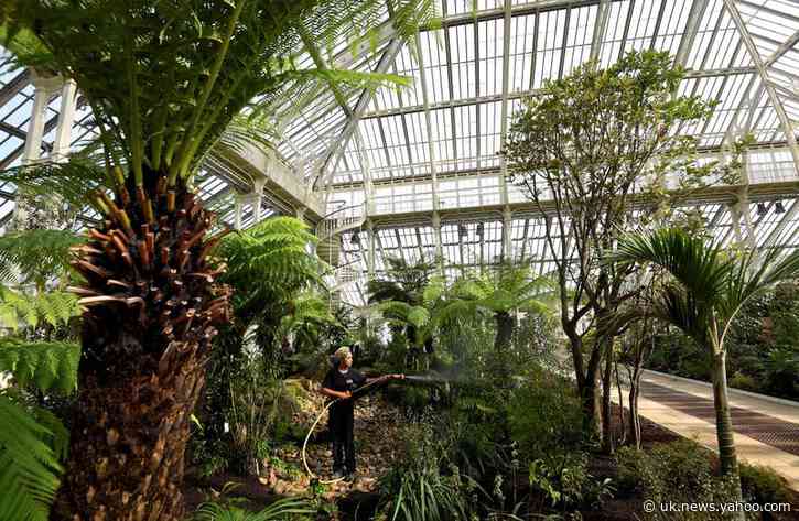 Kew Gardens to help protect Australia's plants after wildfires