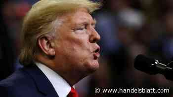 Buchtipp: „Kurzschlusspolitik“: Warum die Politik inzwischen mehr Menschen verunsichert als die Wirtschaft - Handelsblatt