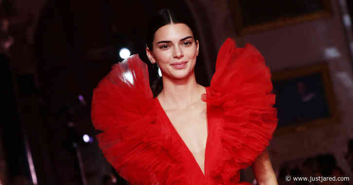 TikTok Verified a Fake Kendall Jenner Account By Accident