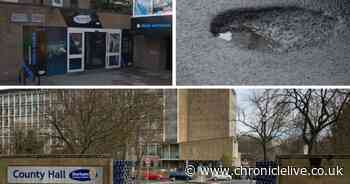 Potholes, climate change and poverty: How Durham County Council plans to invest £145m - Chronicle Live