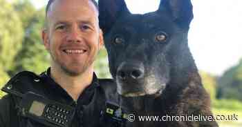 Suspected burglar found by police dog hiding in a bush on Gosforth street