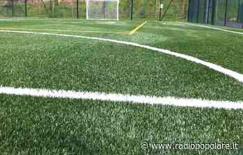 I campi in erba sintetica: da soluzione a "mostro ecologico" - Radio Popolare