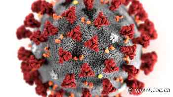 What we know so far about the coronavirus