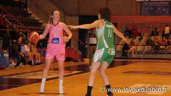 Basket (Prénationale) : match au sommet pour Arras Pays d'Artois - La Voix du Nord