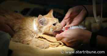 Humane Society lands $3 million gift, largest ever