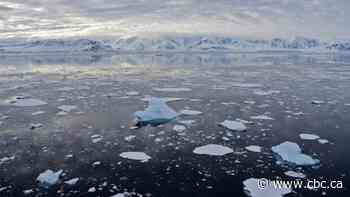 UN assesses if Antarctica temperature reading is record high