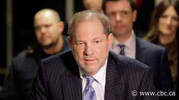 Defence witness in Weinstein case wrote SVU episode about him