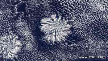 NASA spots mysterious 'cloud rosettes' only visible from space     - CNET
