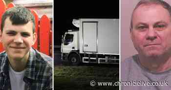 Lorry driver who caused the death of a much-loved son by suddenly stopping on A19 is jailed