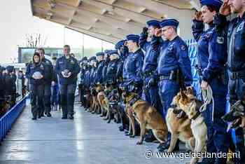 Indrukwekkend eerbetoon van Belgische agenten aan overleden politiehonden Drago en Blue