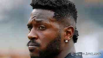 Antonio Brown Takes Huge Loss In Condo-Trashing Case, Fat Check Coming