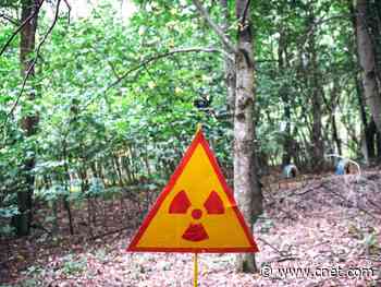 Fungi found in Chernobyl feeds on radiation, report says     - CNET