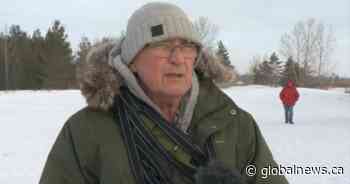 Saskatoon dog walker says proposed bylaw amendment ‘would destroy my business’