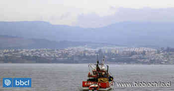 Vecinos de Caleta Lo Rojas de Coronel denuncian contaminación de borde costero a la SMA - BioBioChile