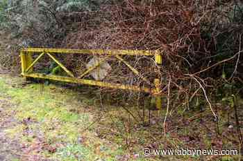 Province increases security at Sooke park after three men swept away by river