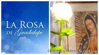 El “airecito” hizo el milagro: La Rosa de Guadalupe, de los contenidos más demandados de América Latina - Radio Fórmula