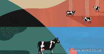 The race is on to hack cow farts and help save the planet