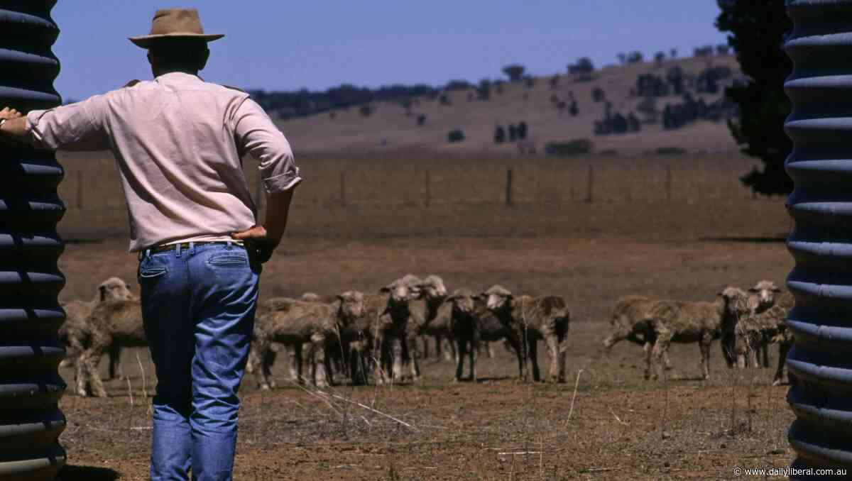 Dubbo MP Dugald Saunders calls for more drought assistance - Daily Liberal