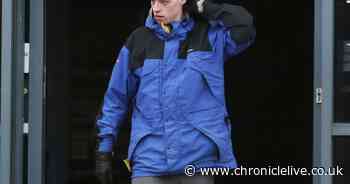 Man fined after being caught with air rifle in Sunderland park