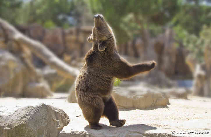 Three Reasons Why Bitcoin is Bearish, Explains Analyst