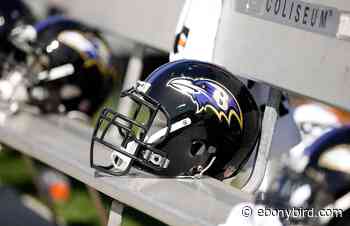 Valentine’s Day gifts for Baltimore Ravens fans - Ebony Bird