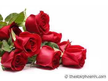 Parish Notes: Valentine's Day