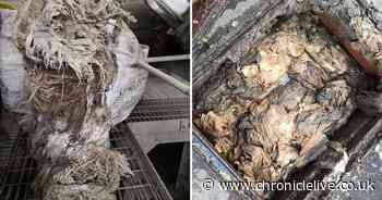 Inside the North East's clogged up sewage system - and the items causing the blockages